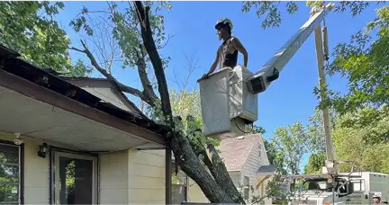 Contact Challengers Tree Service for a quote