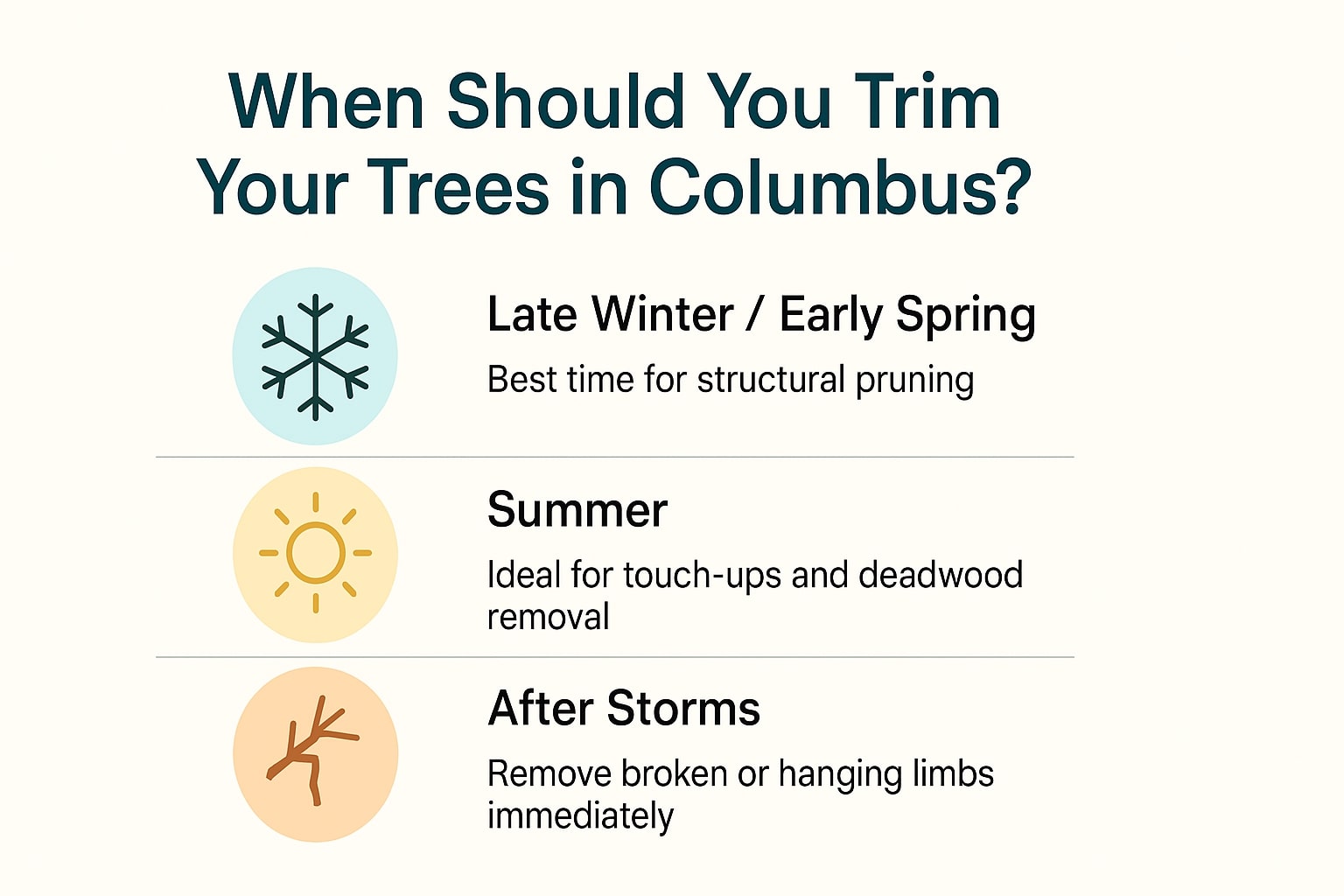 Infographic showing best times to trim trees in Columbus: late winter, summer, and after storms