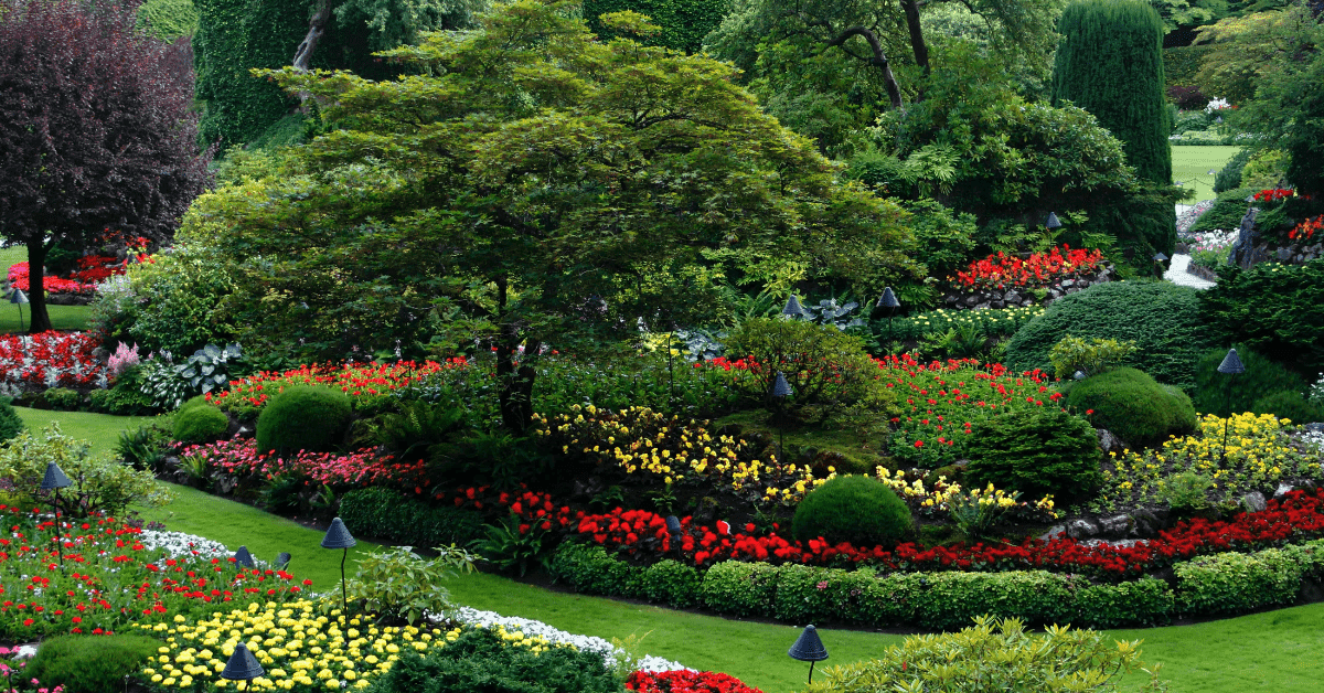 Best Trees and Shrubs for Columbus, Ohio Yards | Local Guide