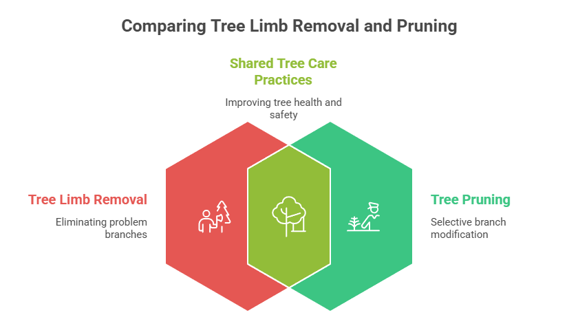 Tree limb removal vs pruning