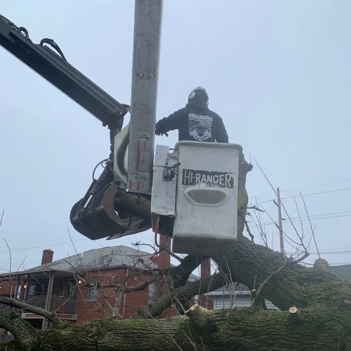 Tree removal crew using a bucket lift and crane to cut a large tree near a residential home.